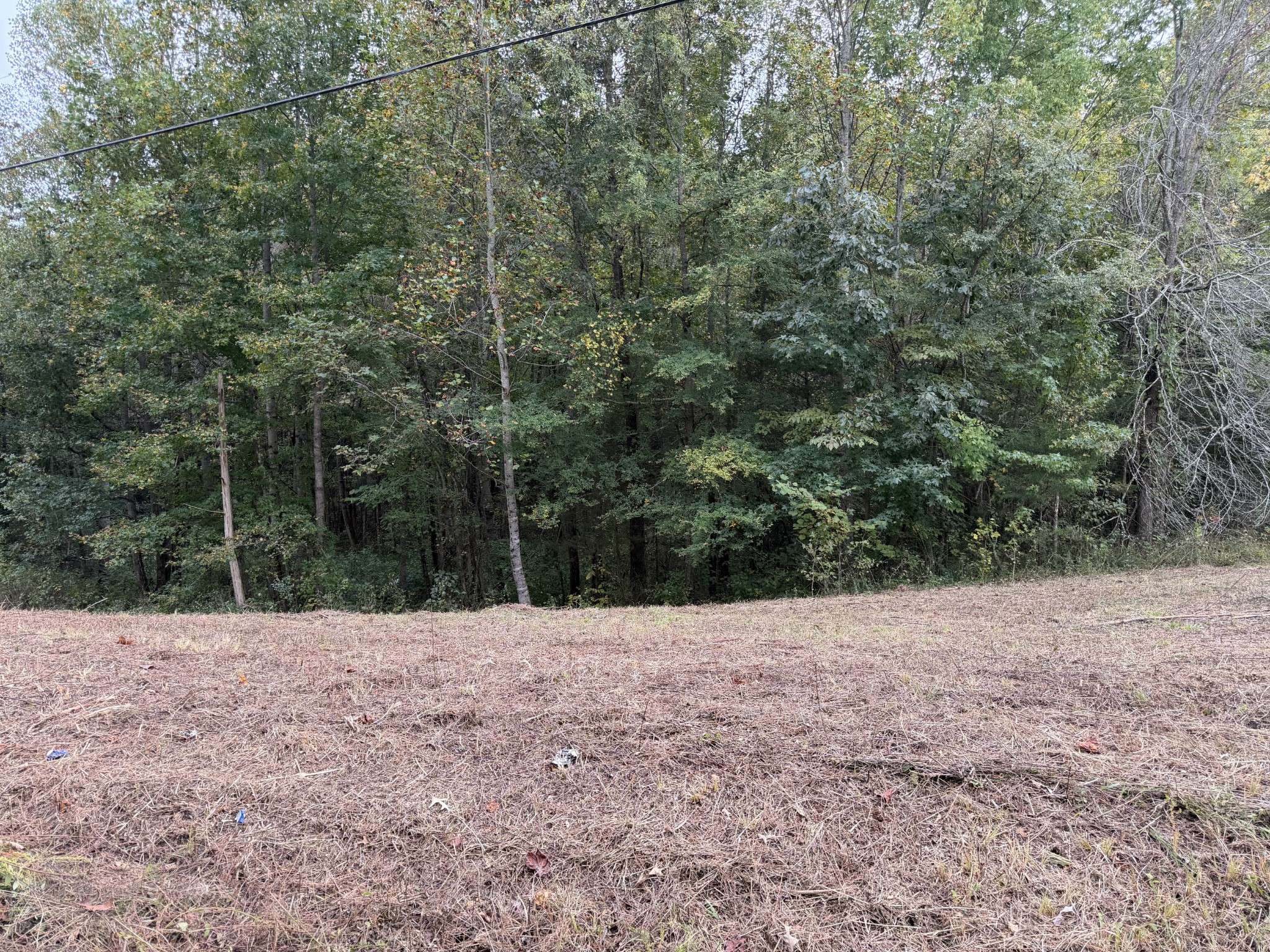0 Summer Breeze Dr, Smithville, TN 37166