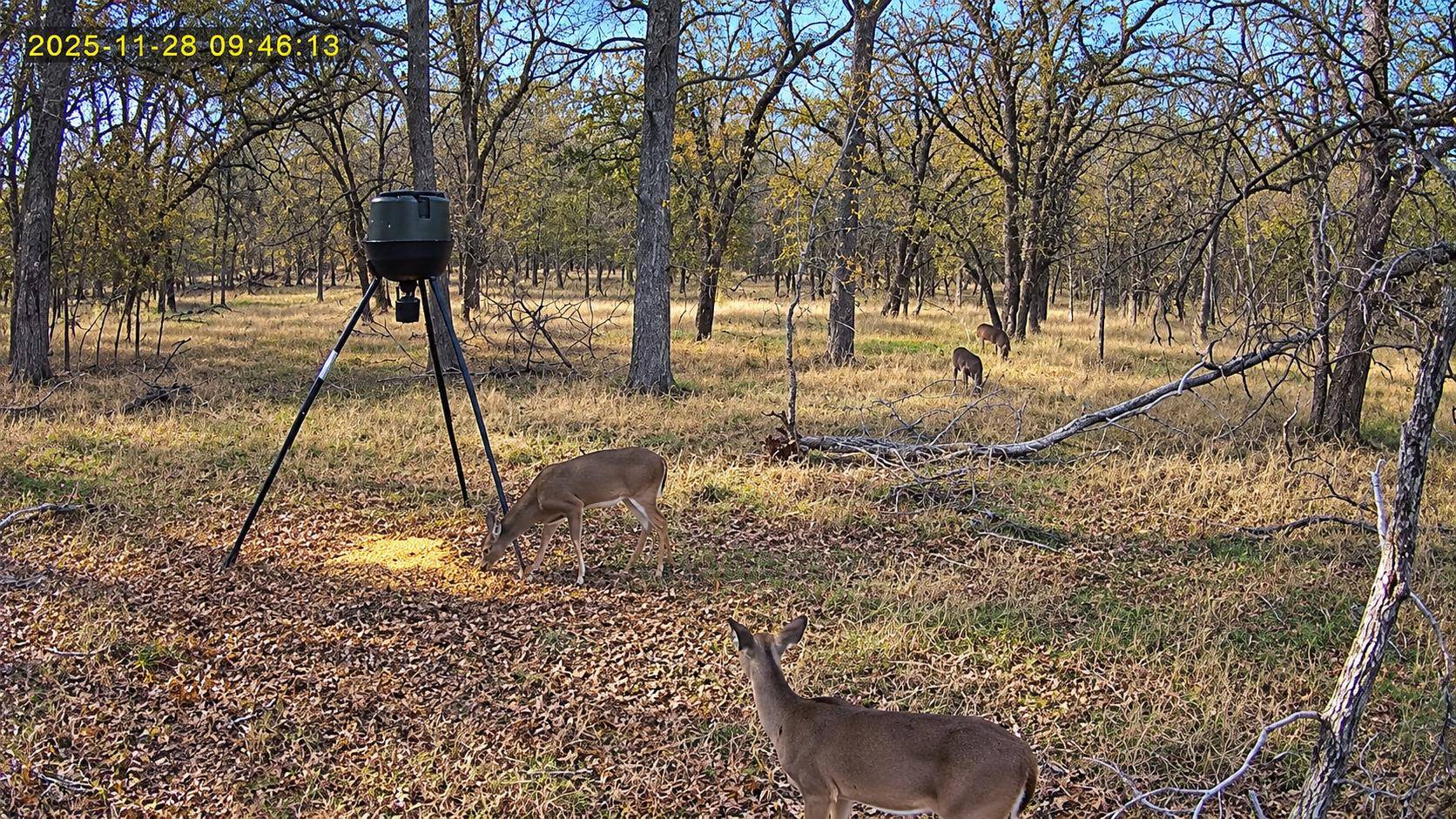 10885 S Us Highway 183, Lockhart, TX 78644
