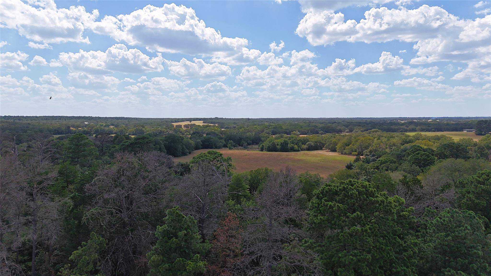 TBD St Delight Rd (Tracts 8 & 13), Paige, TX 78659