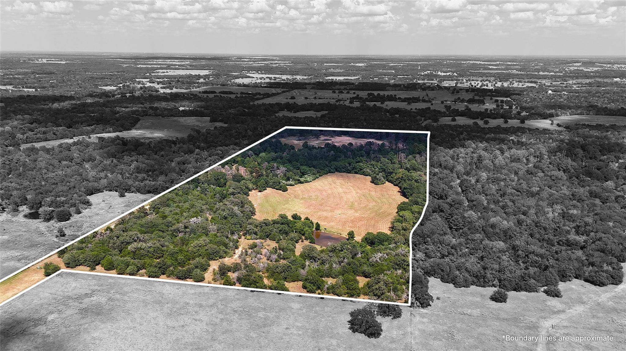 TBD St Delight Rd (Tracts 8 & 13), Paige, TX 78659