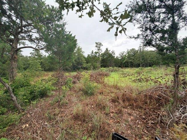 000 McDonald LN W, Cedar Creek, TX 78612