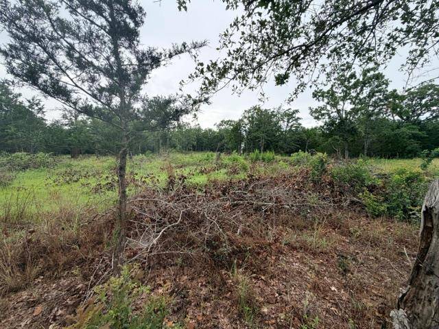 000 McDonald LN W, Cedar Creek, TX 78612