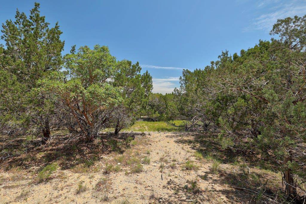TBD Windy Hills RD, Dripping Springs, TX 78620