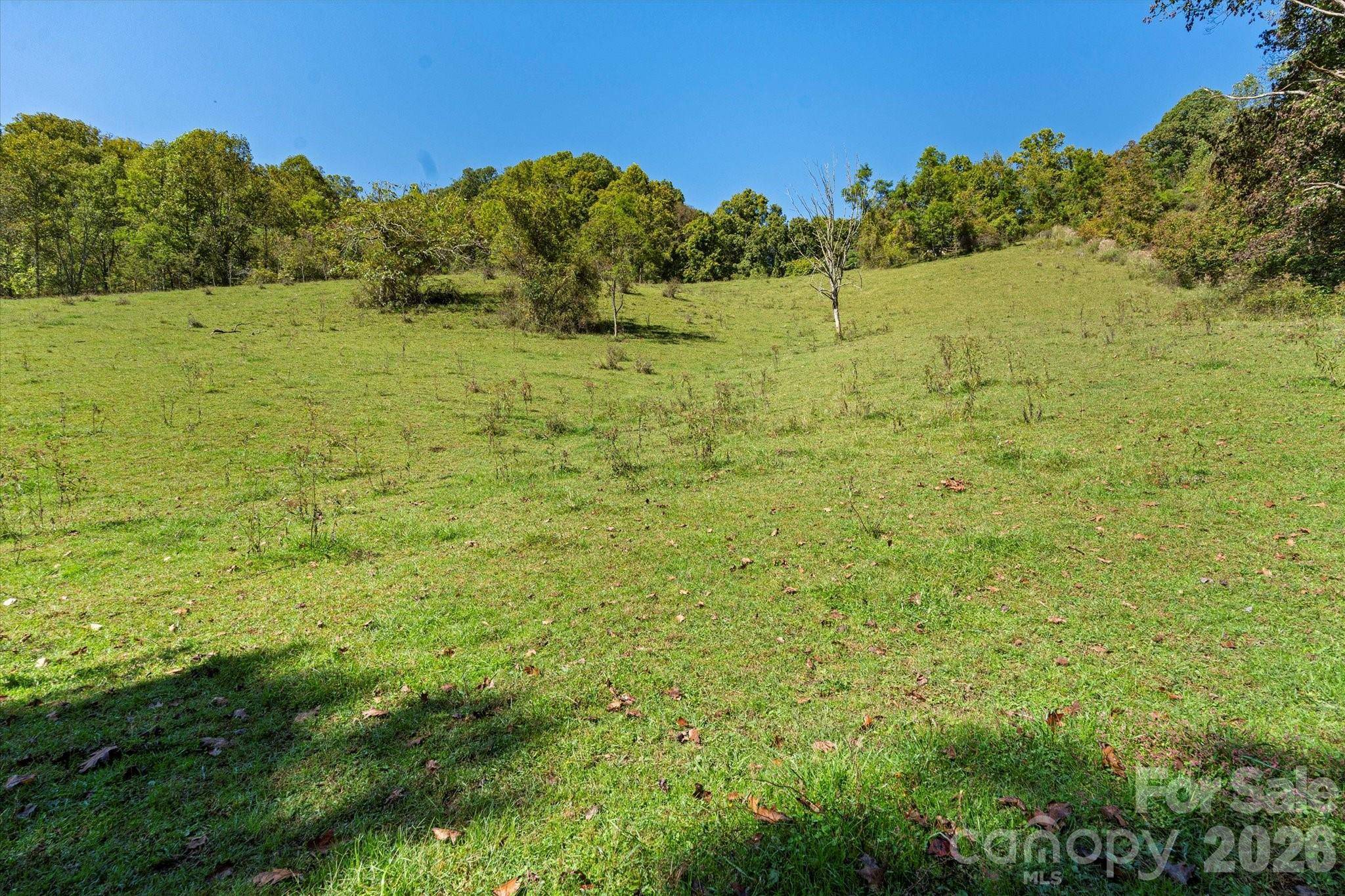 1623 Ammons Branch RD, Marshall, NC 28753