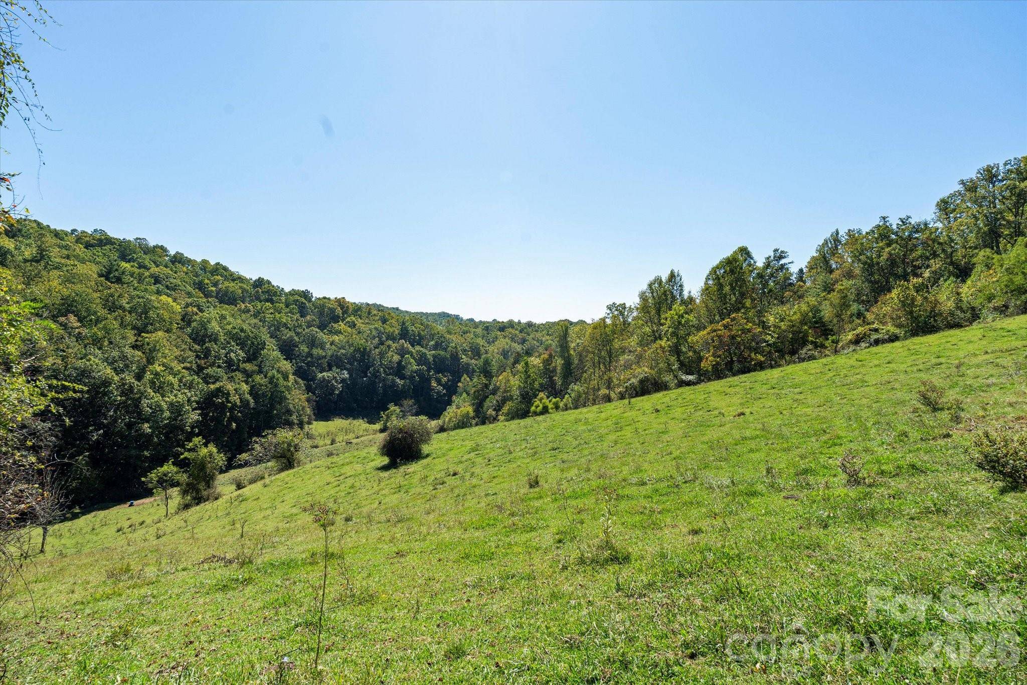 1623 Ammons Branch RD, Marshall, NC 28753