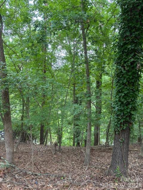 10045 Tepa PL, Tega Cay, SC 29708