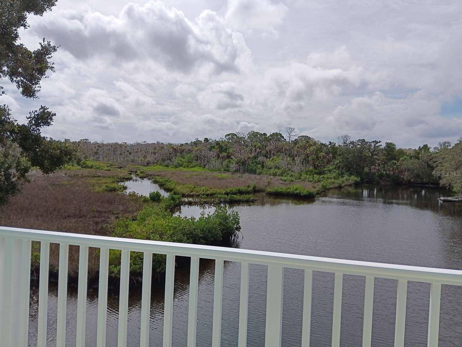 1334 OSOWAW BLVD, Spring Hill, FL 34607