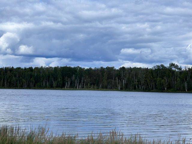Lot 23 Concession 11 RD, Cochrane, ON P0L 1C0