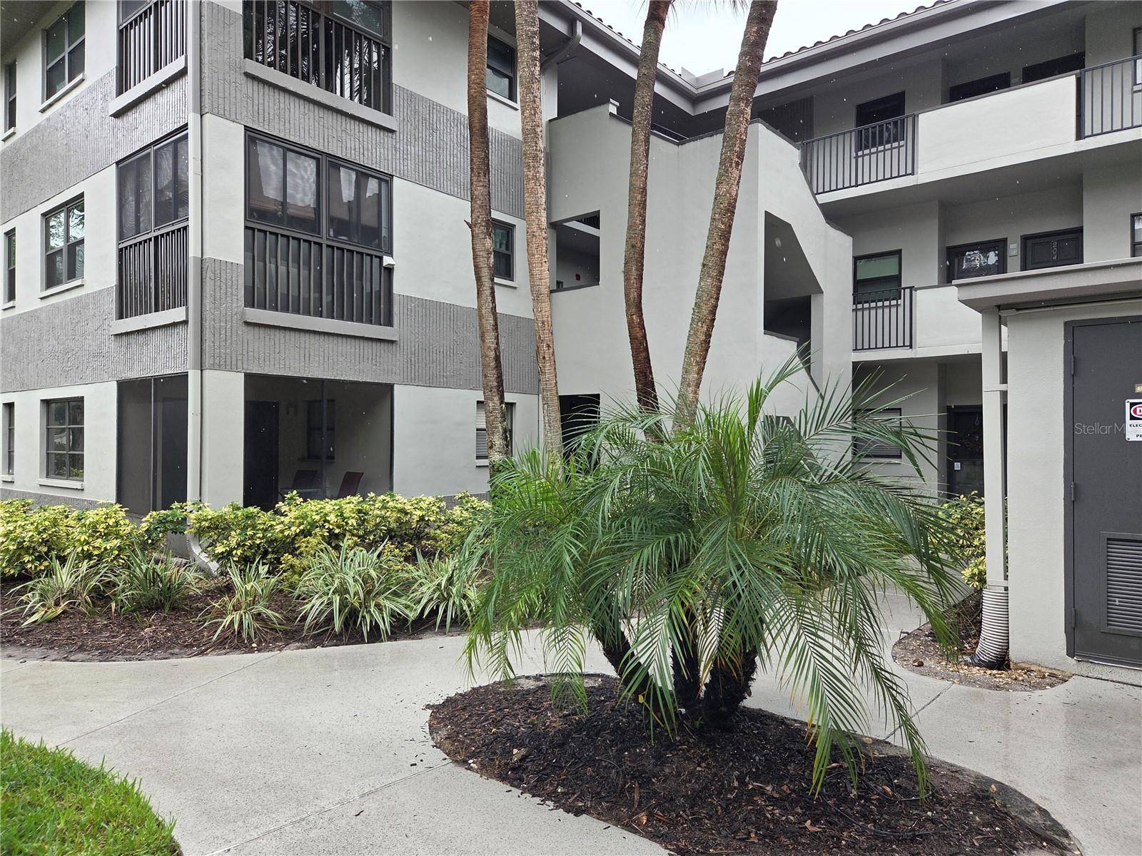 2650 COUNTRYSIDE BLVD #F202, Clearwater, FL 33761