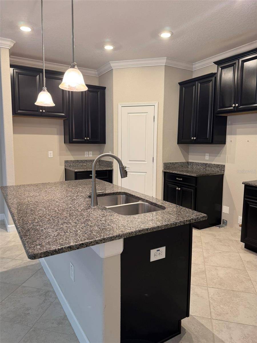 3622 PINE RIBBON DR, Land O Lakes, FL 34638