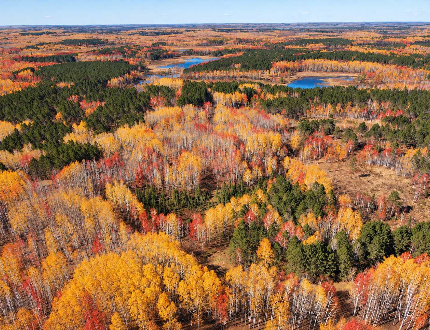 TBD (280AC) Maple Grove RD, Cloquet, MN 55720