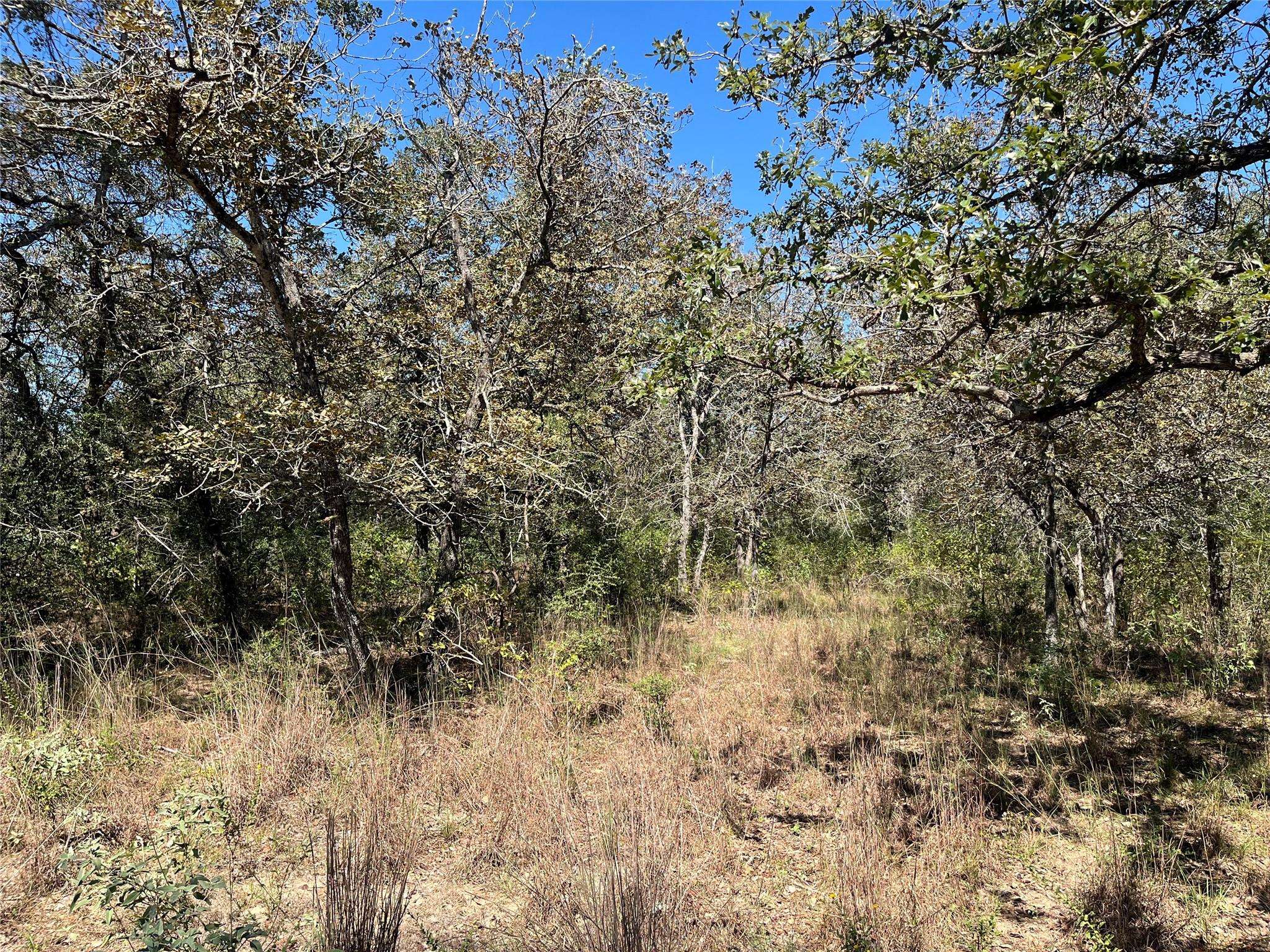 TBD Flash CIR, Luling, TX 78648