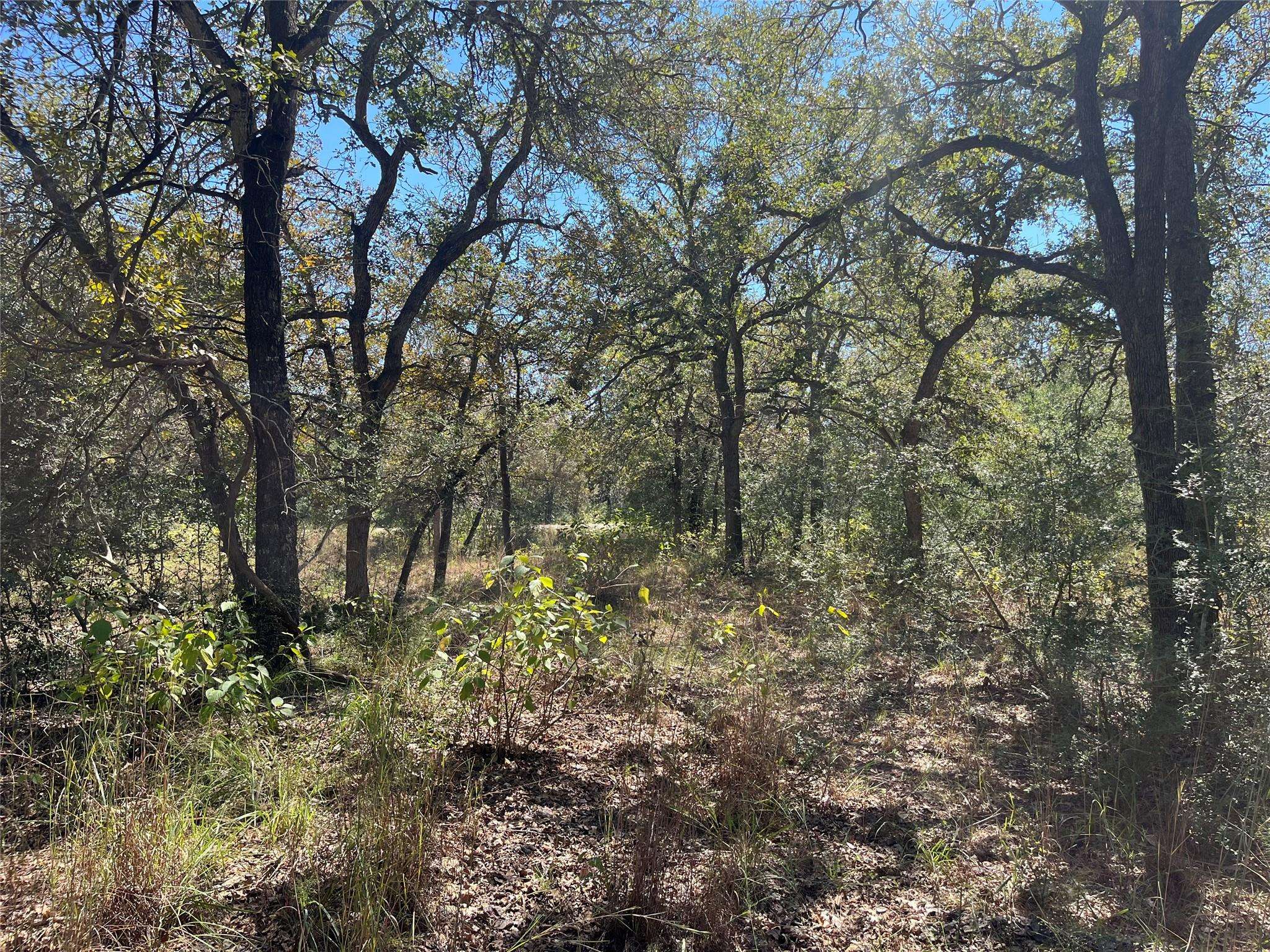 TBD Flash CIR, Luling, TX 78648