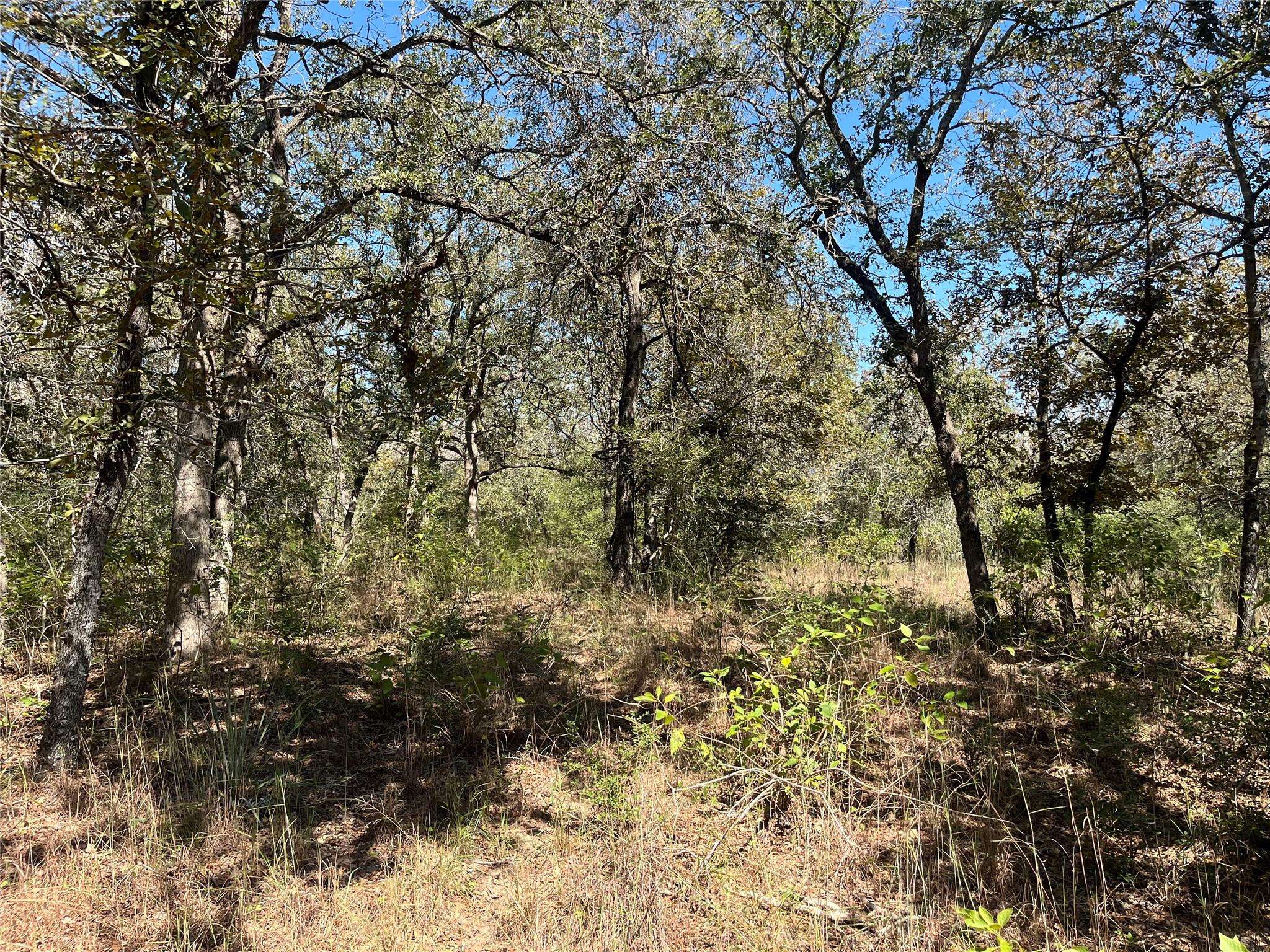 TBD Flash CIR, Luling, TX 78648