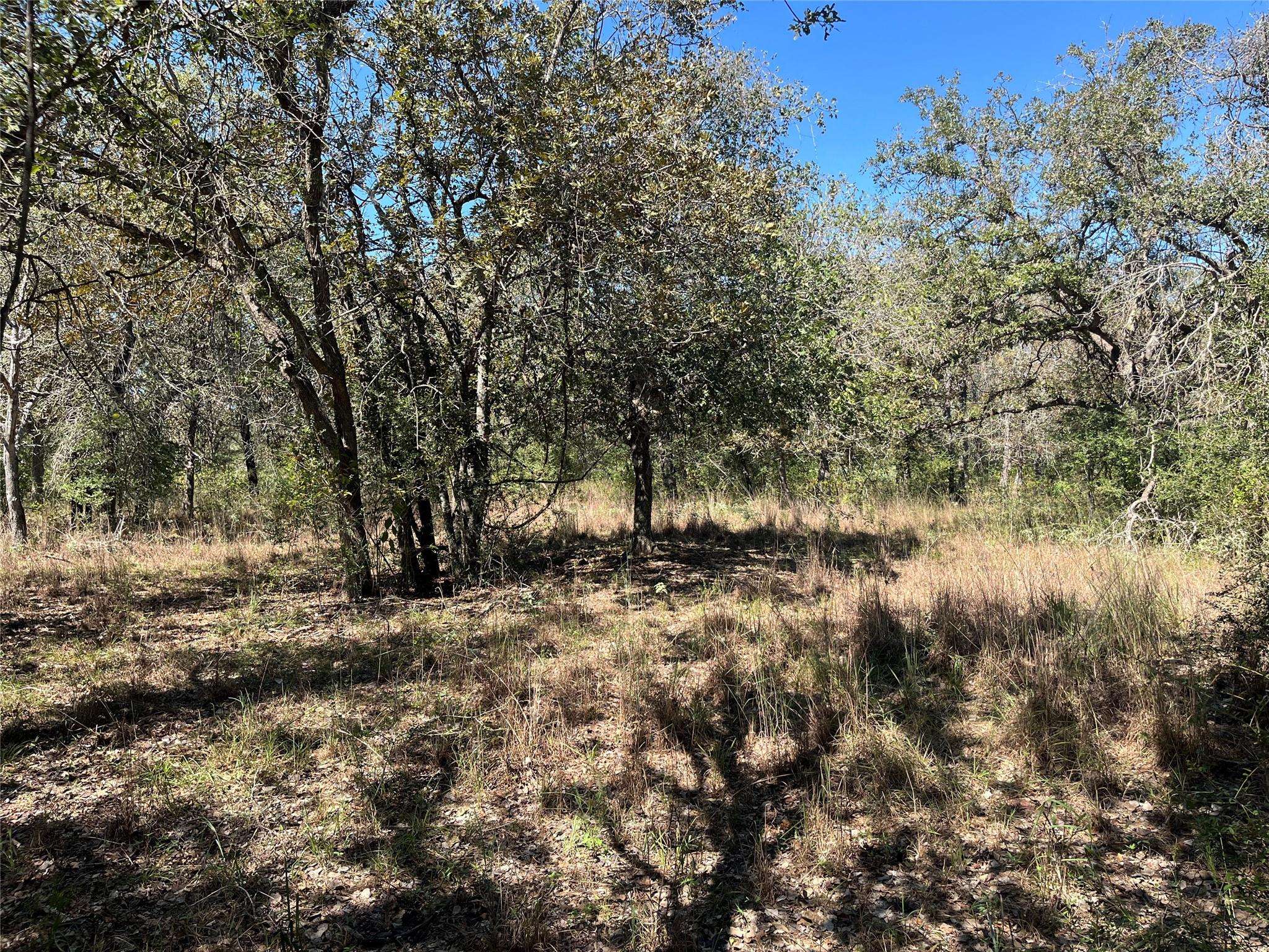 TBD Flash CIR, Luling, TX 78648