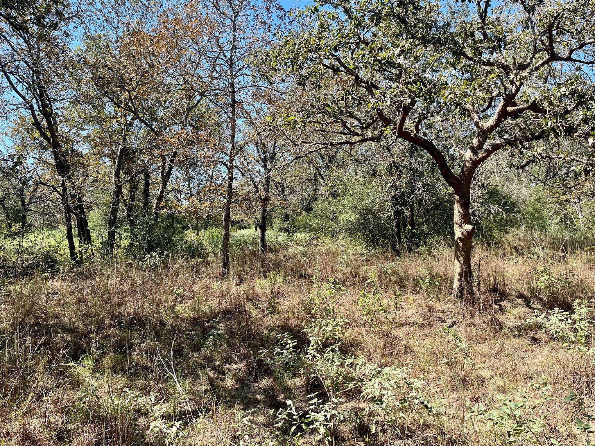 TBD Flash CIR, Luling, TX 78648