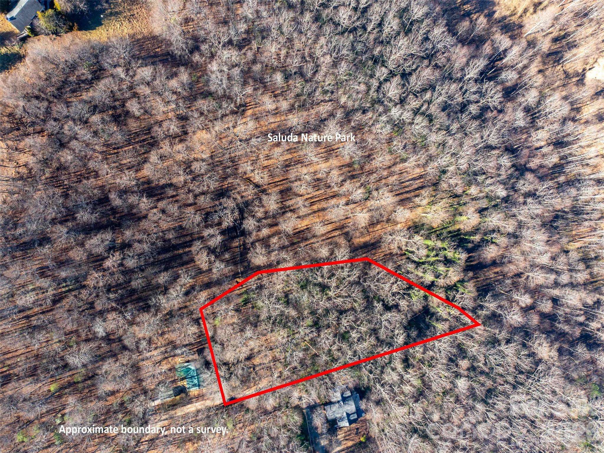 00 Mountain Page RD #17,18,19, Saluda, NC 28773