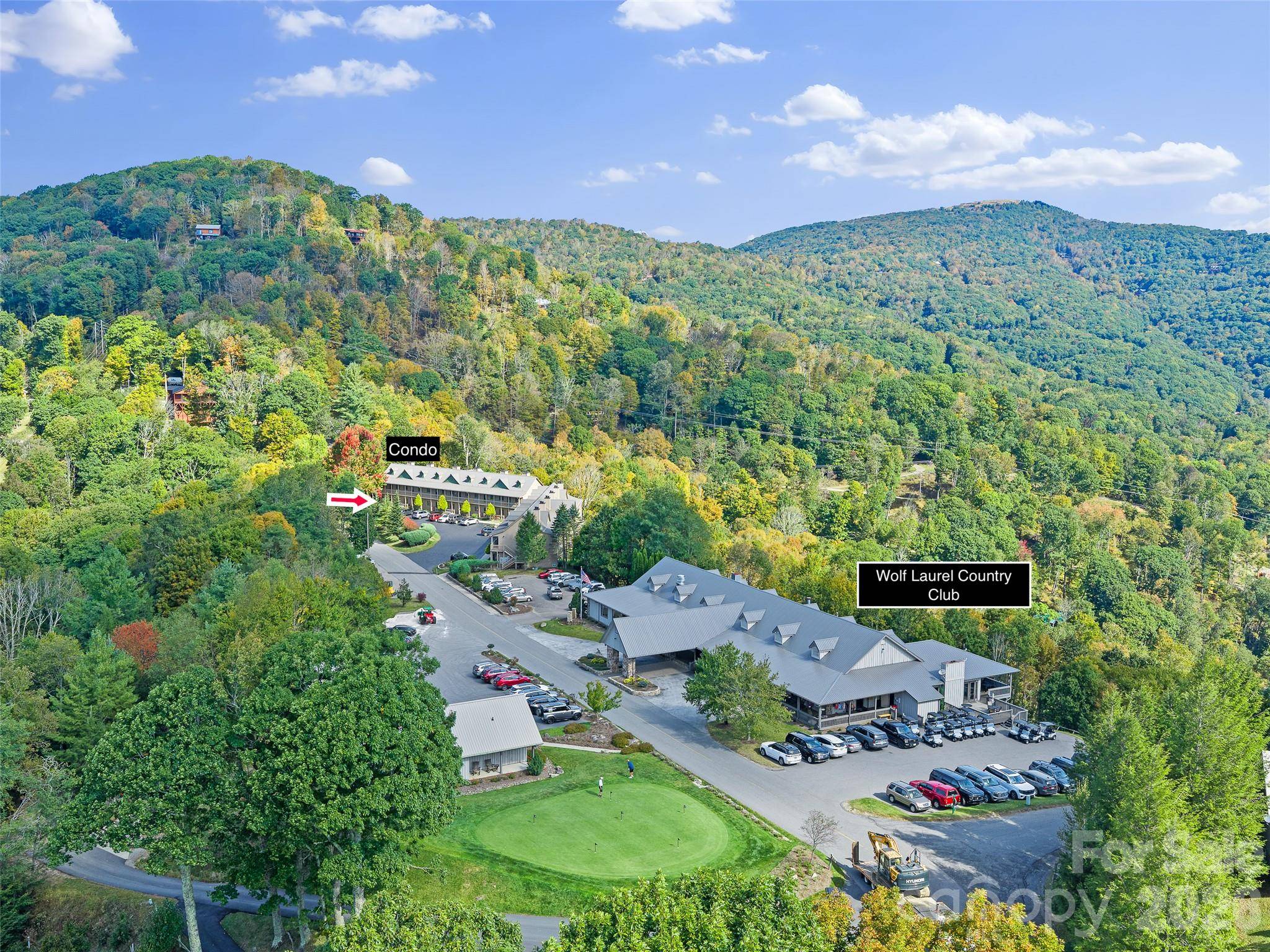 2521 Wolf Laurel RD #101, Mars Hill, NC 28754