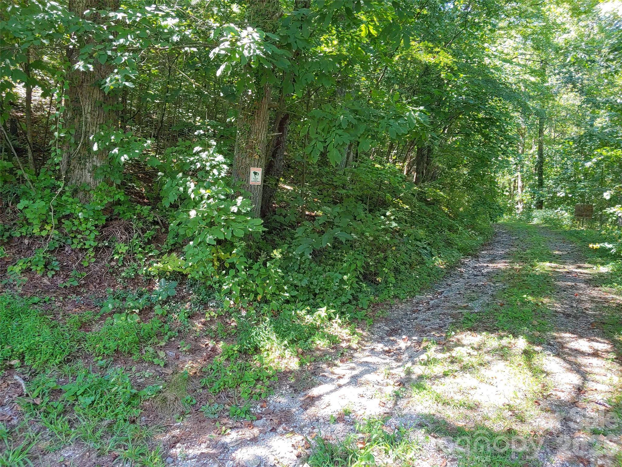 0000 Thomasville LN, Gerton, NC 28735