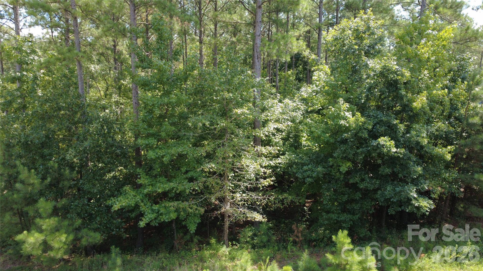 4155 Persimmon RD, Lancaster, SC 29720