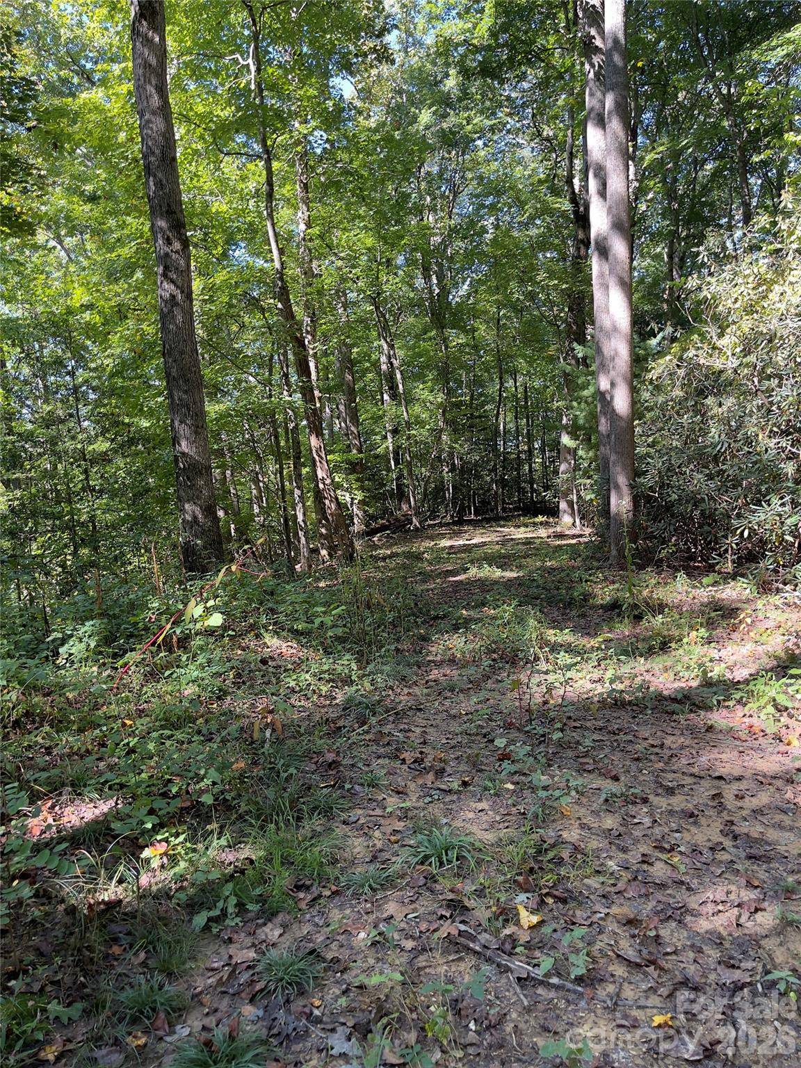 0 Empress LN, Henderson, NC 28792