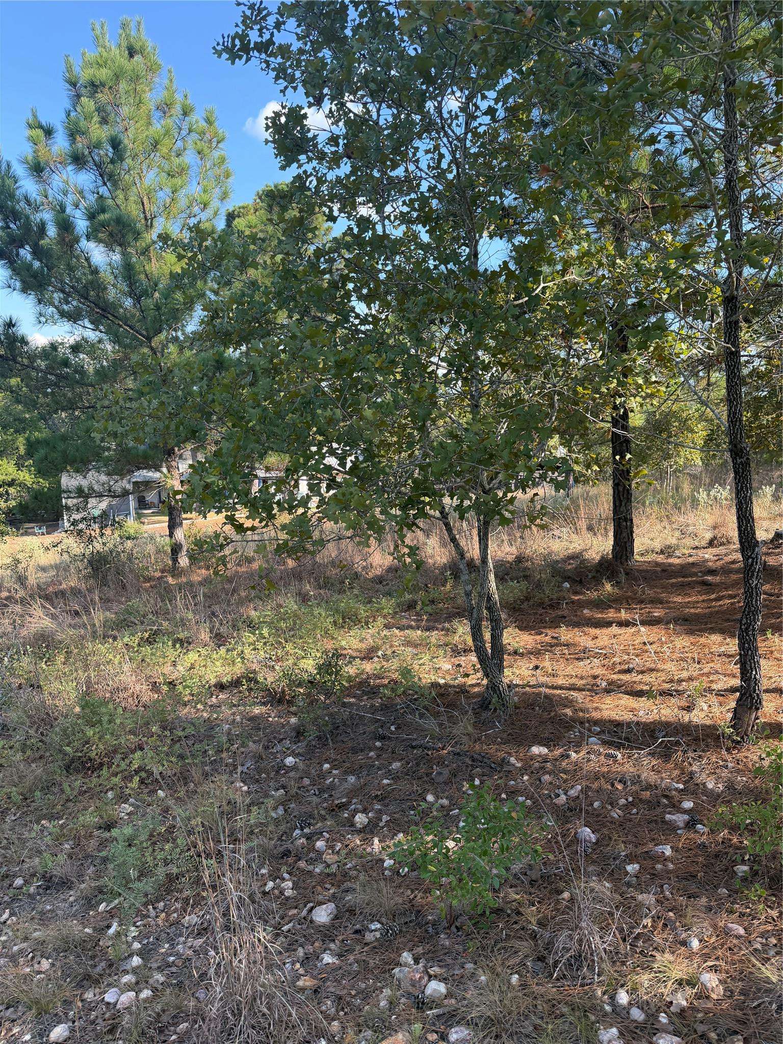 Lot 702 Oahu CT, Bastrop, TX 78602