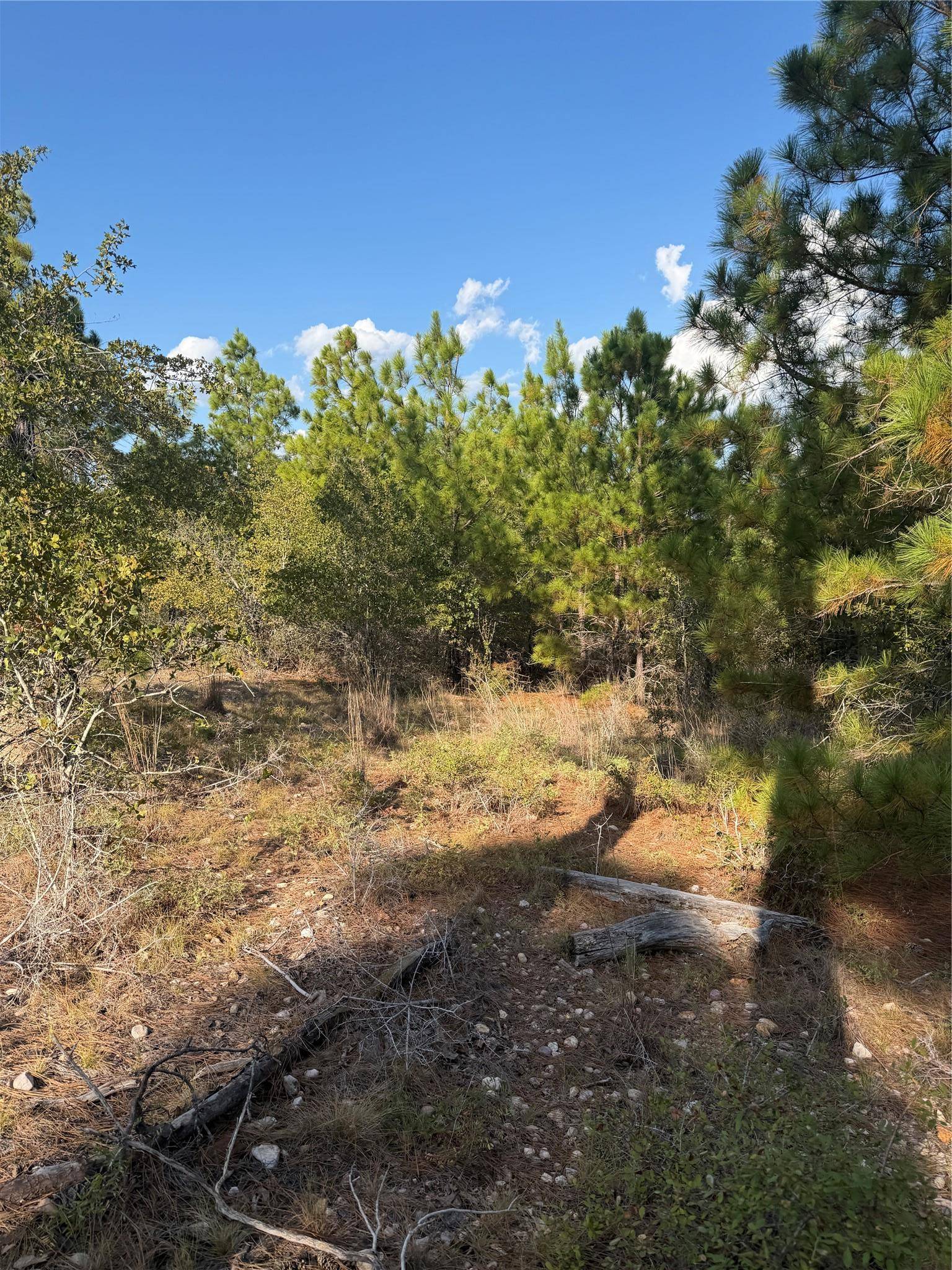 Lot 702 Oahu CT, Bastrop, TX 78602