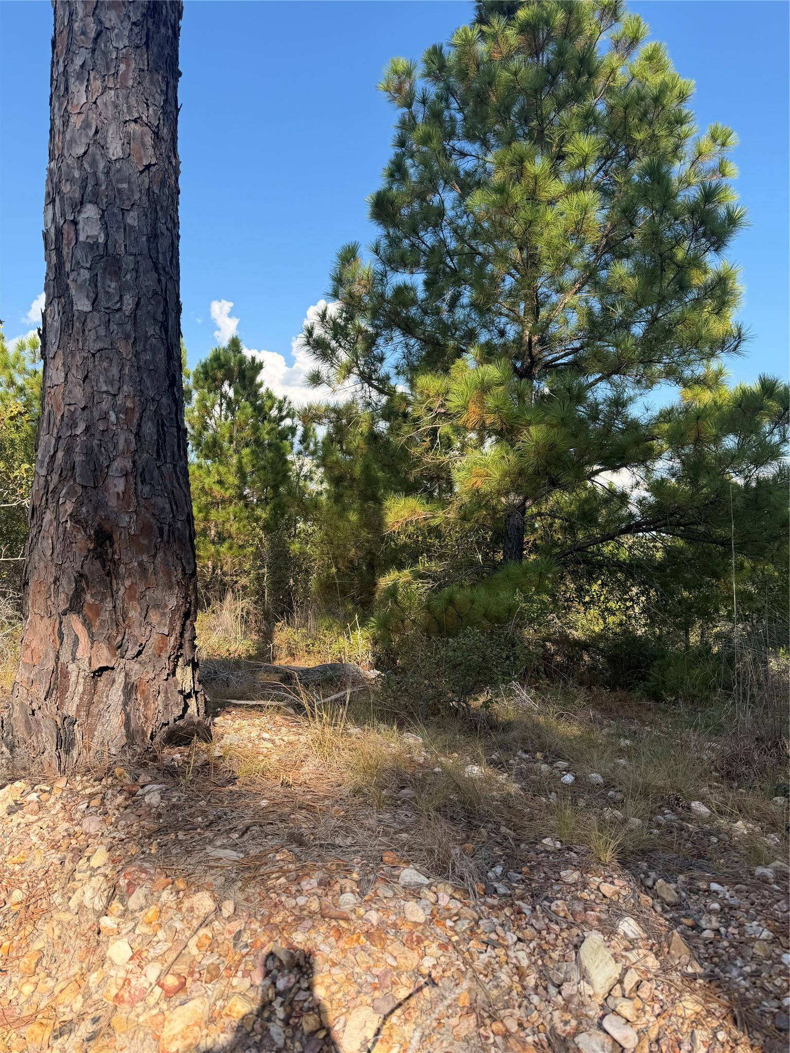Lot 702 Oahu CT, Bastrop, TX 78602