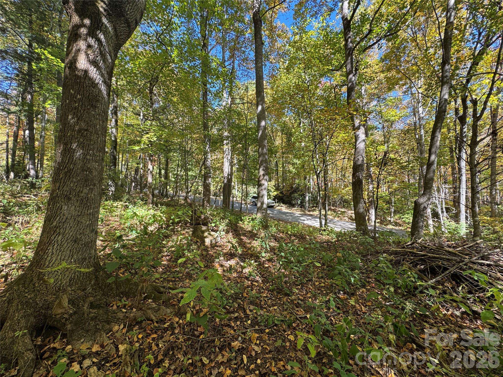 12 Laurel Branch DR, Black Mountain, NC 28711