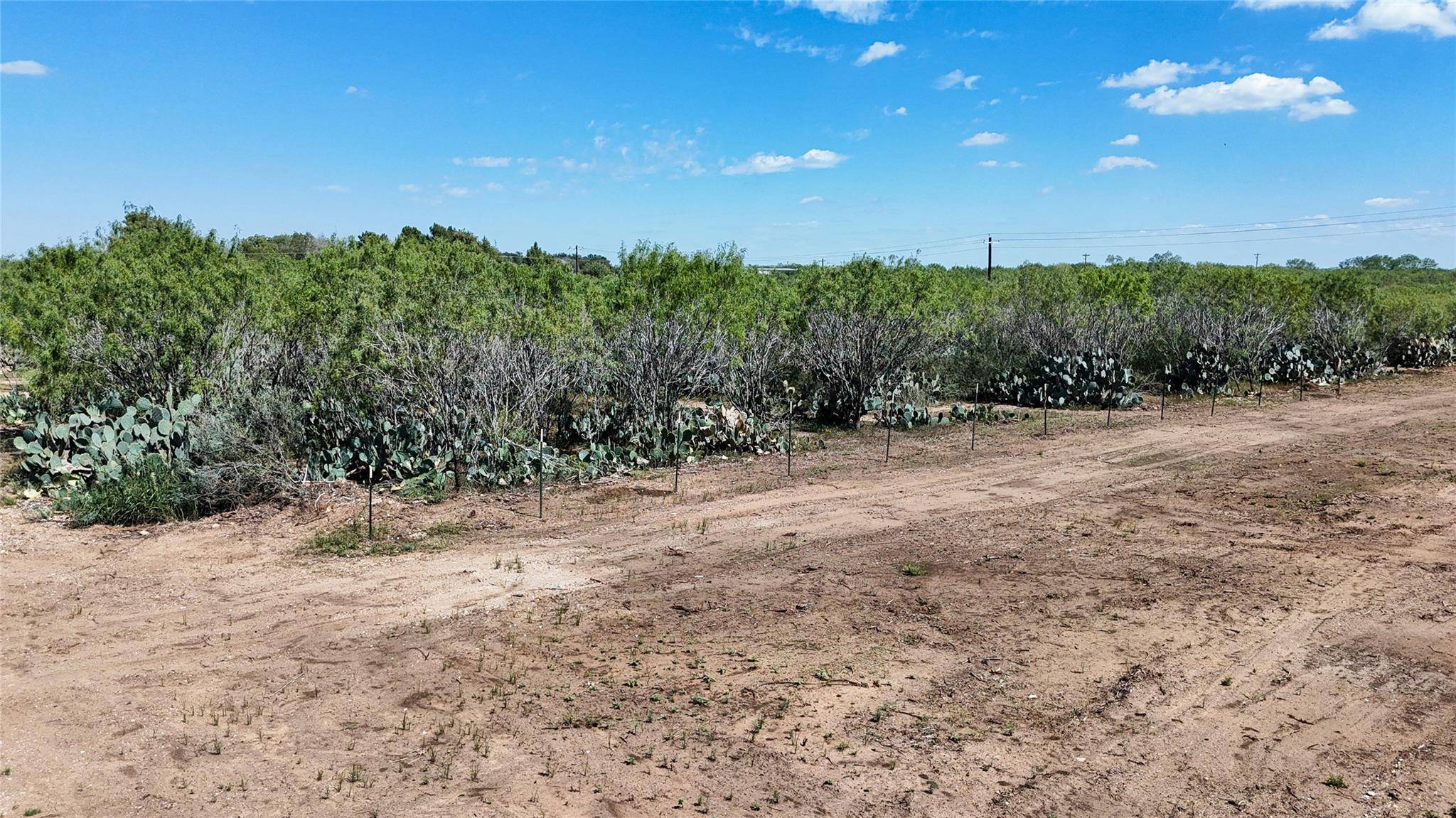 Lot 1 County Road 422, Pleasanton, TX 78064