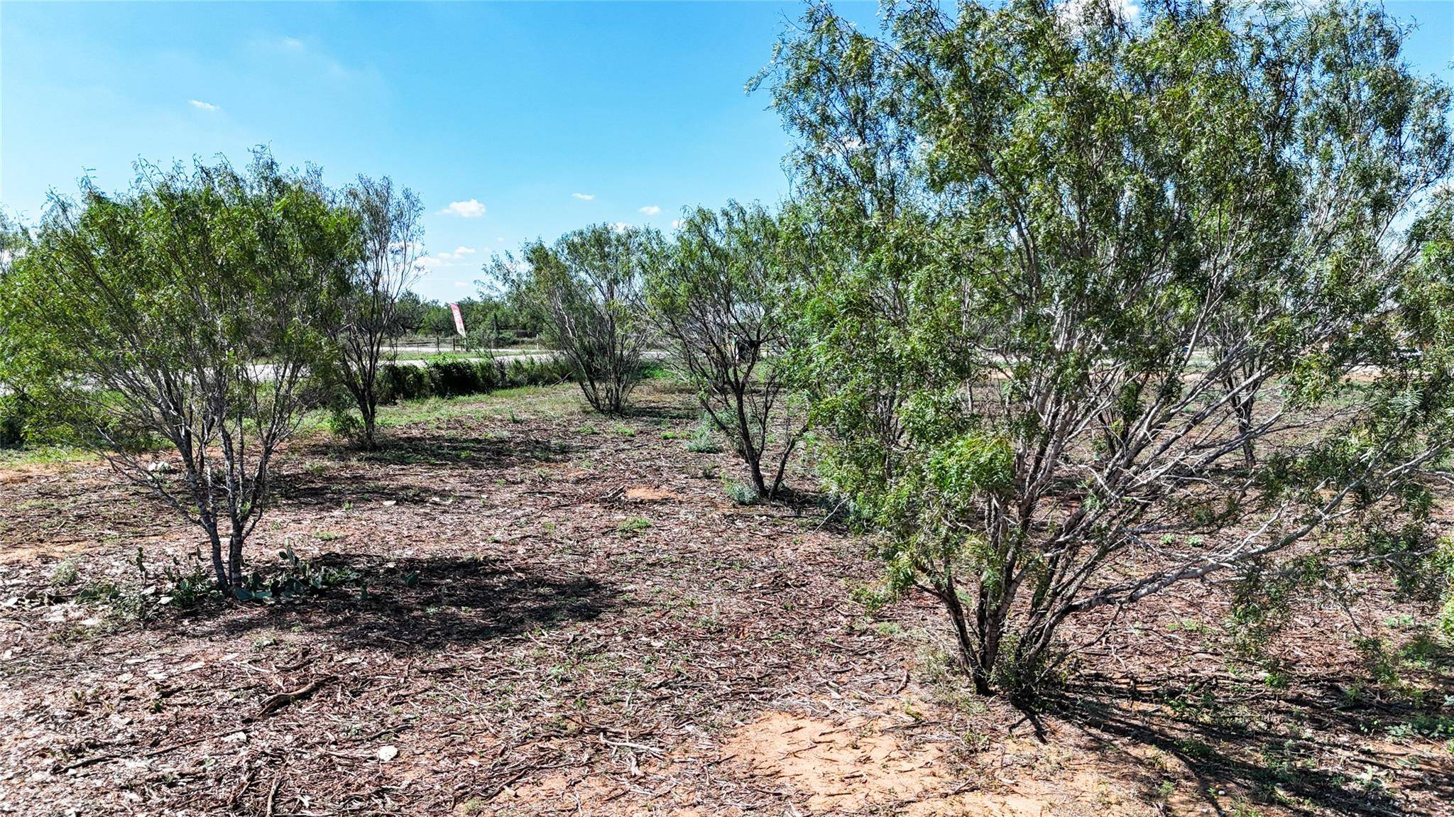 Lot 8 County Road 422, Pleasanton, TX 78064