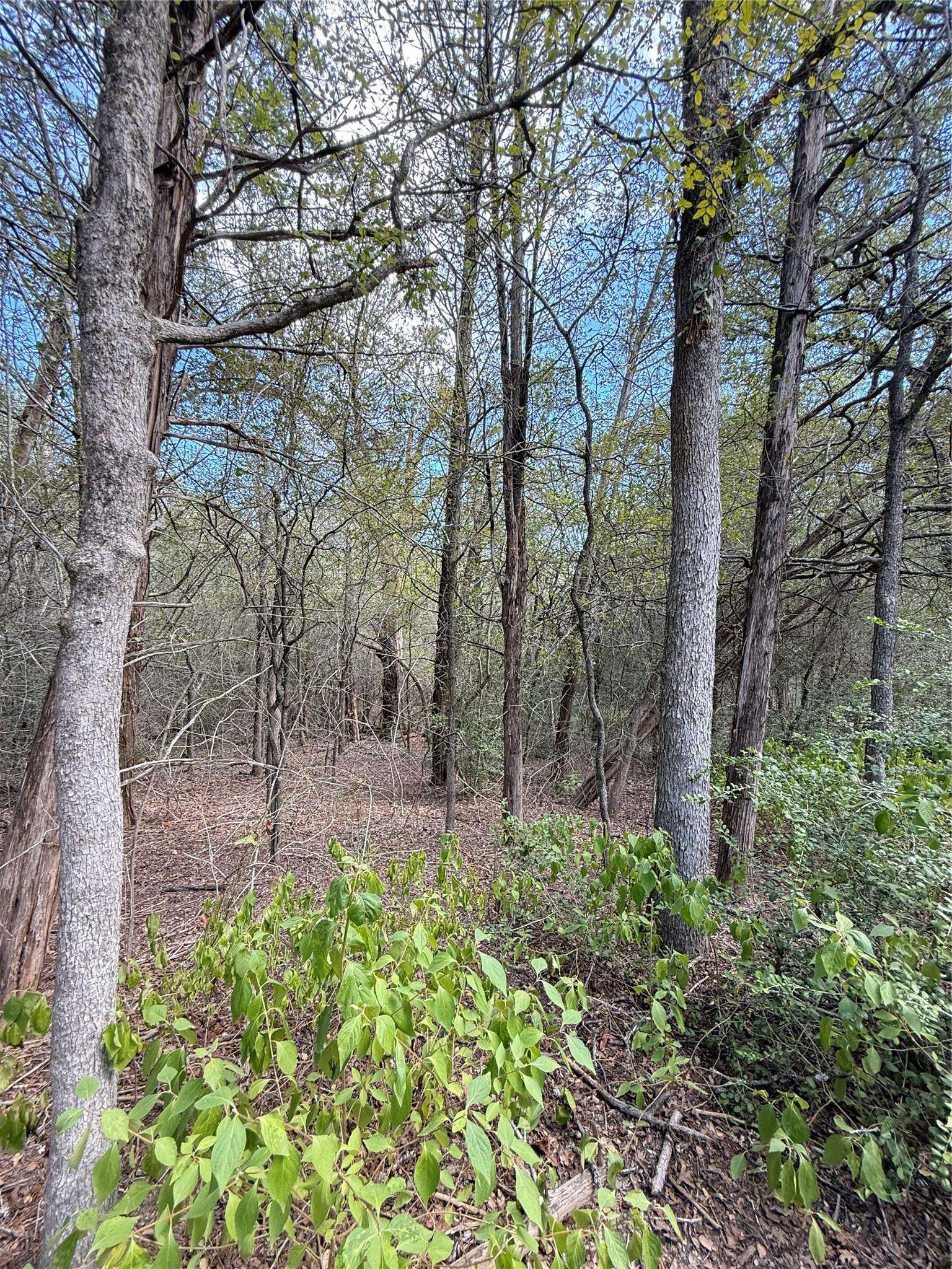 TBD Hanauma, Bastrop, TX 78602