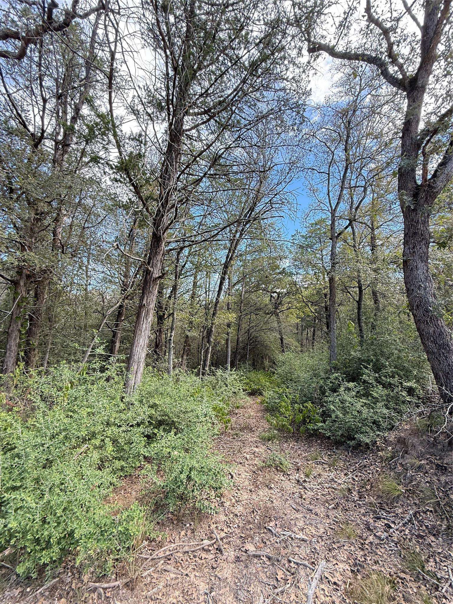 TBD Hanauma, Bastrop, TX 78602