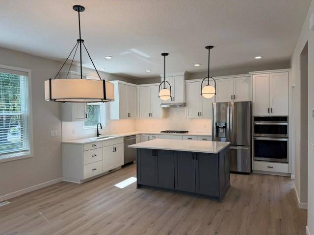 4801 Baker Reserve LN, Maple Plain, MN 55359