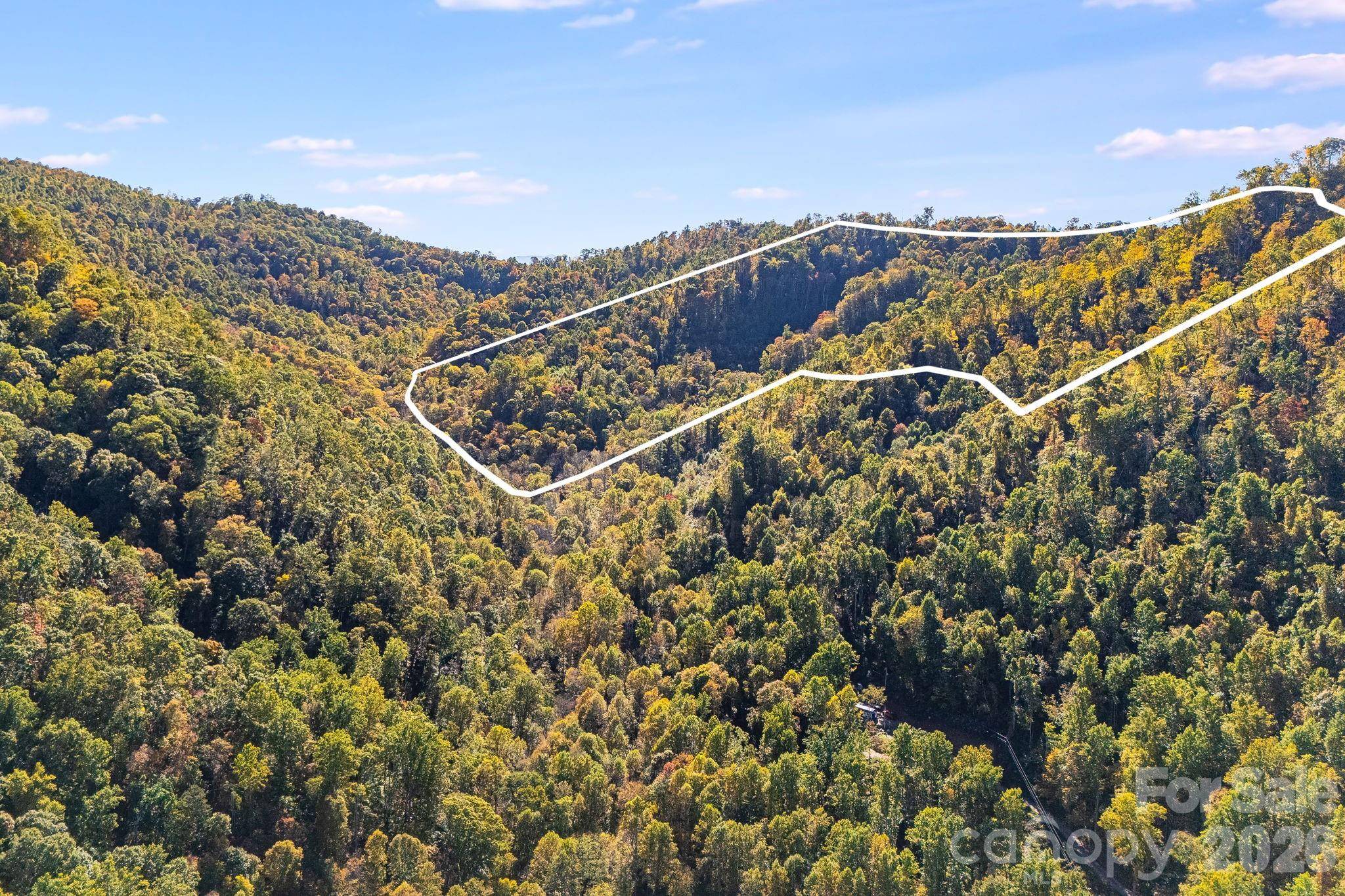 000 Hamburg RD #49, Mars Hill, NC 28754