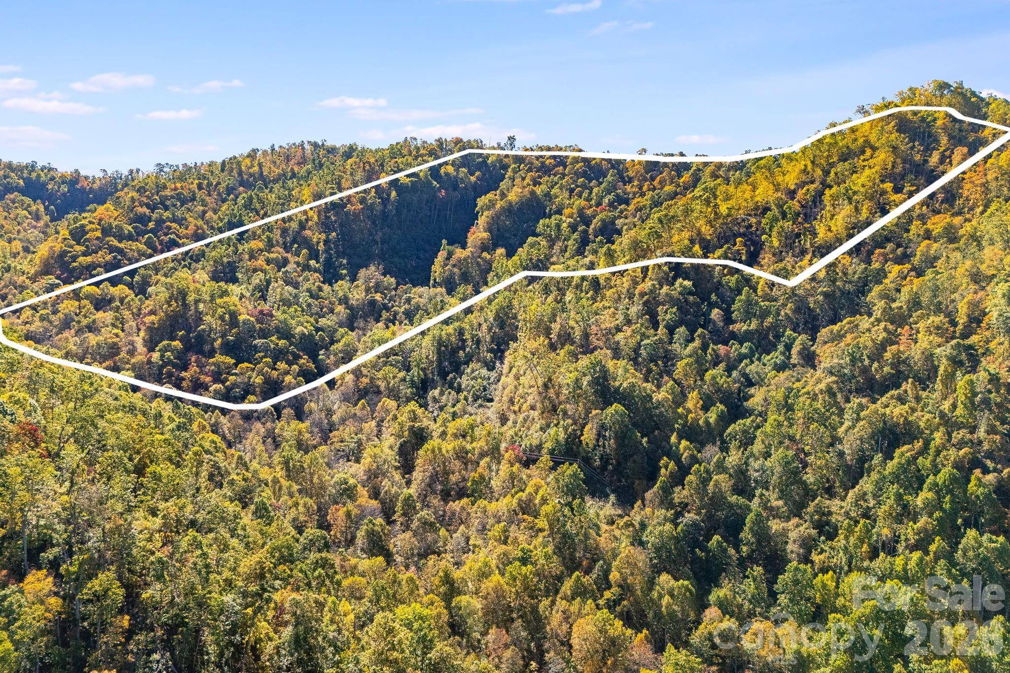 000 Hamburg RD #49, Mars Hill, NC 28754