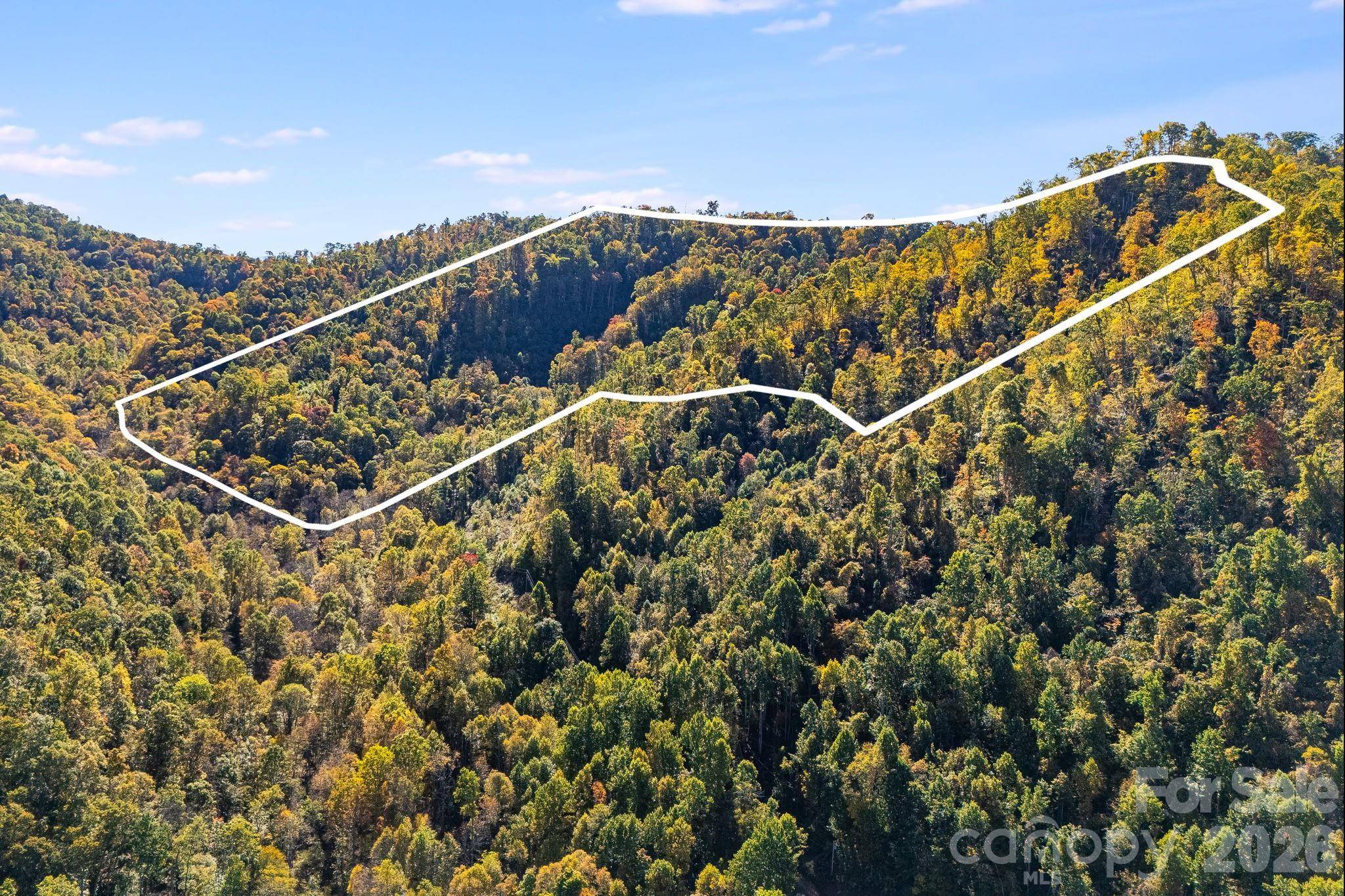 000 Hamburg RD #49, Mars Hill, NC 28754