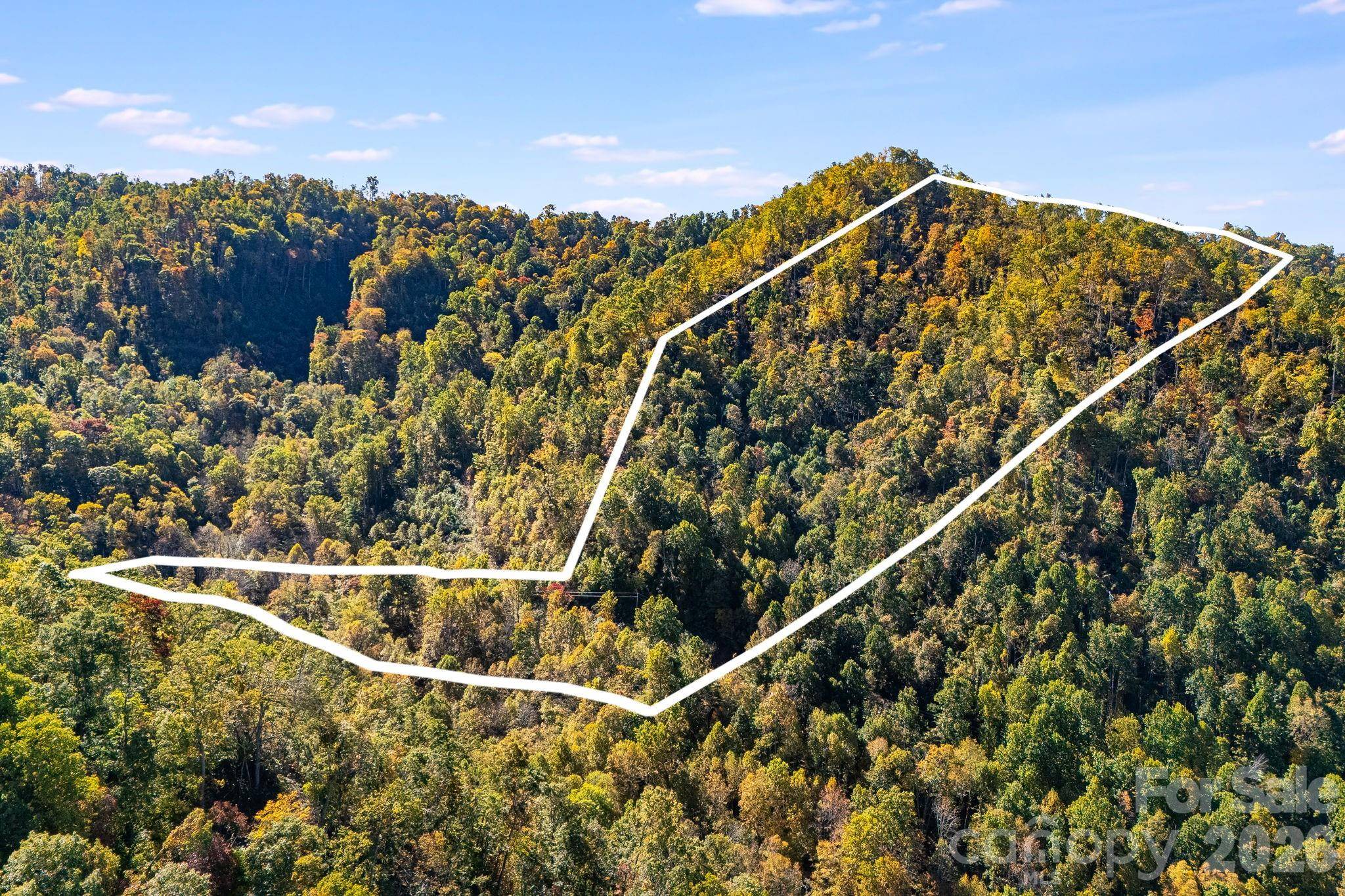 000 Hamburg RD #17, Mars Hill, NC 28754