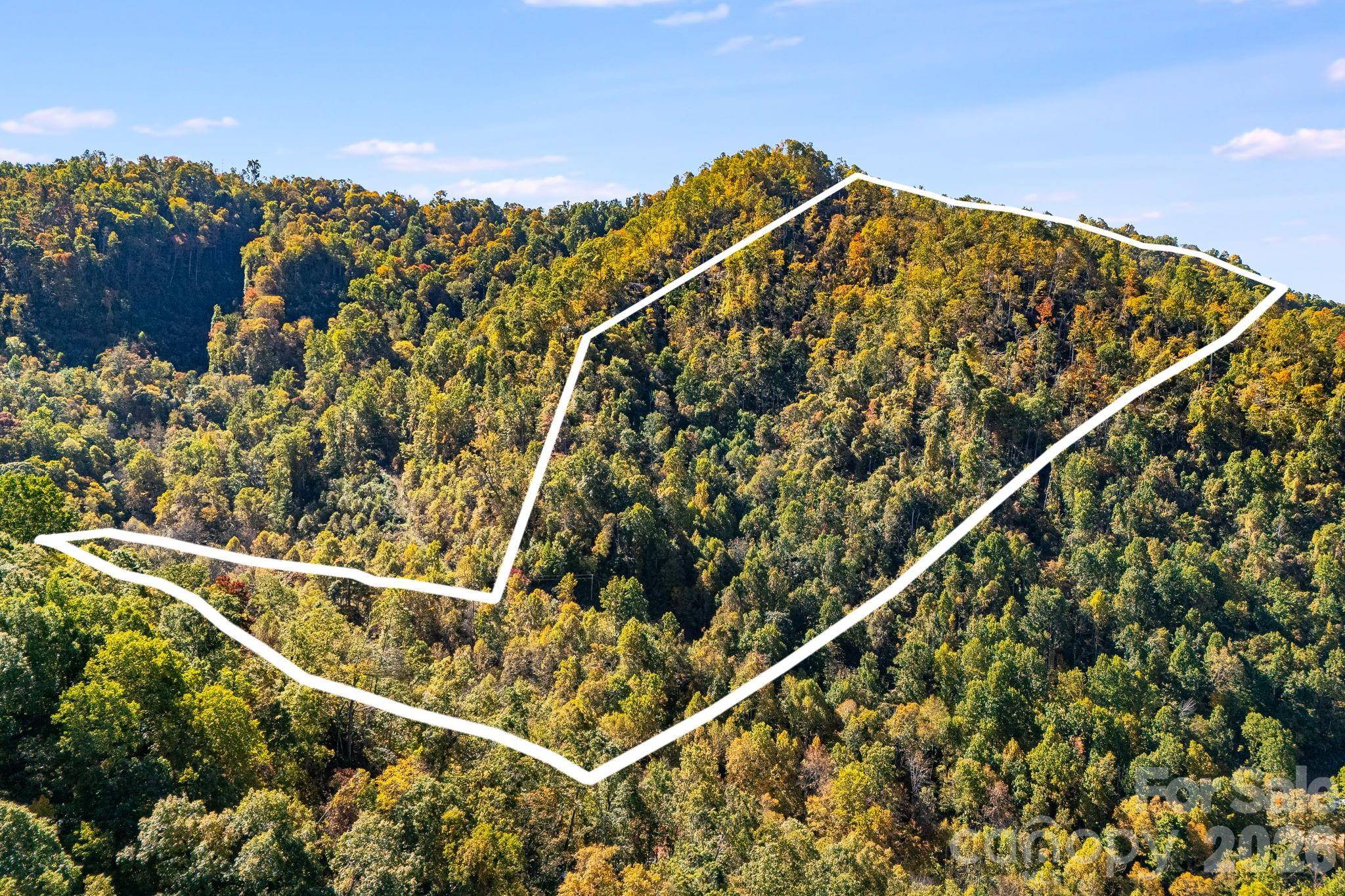 000 Hamburg RD #17, Mars Hill, NC 28754