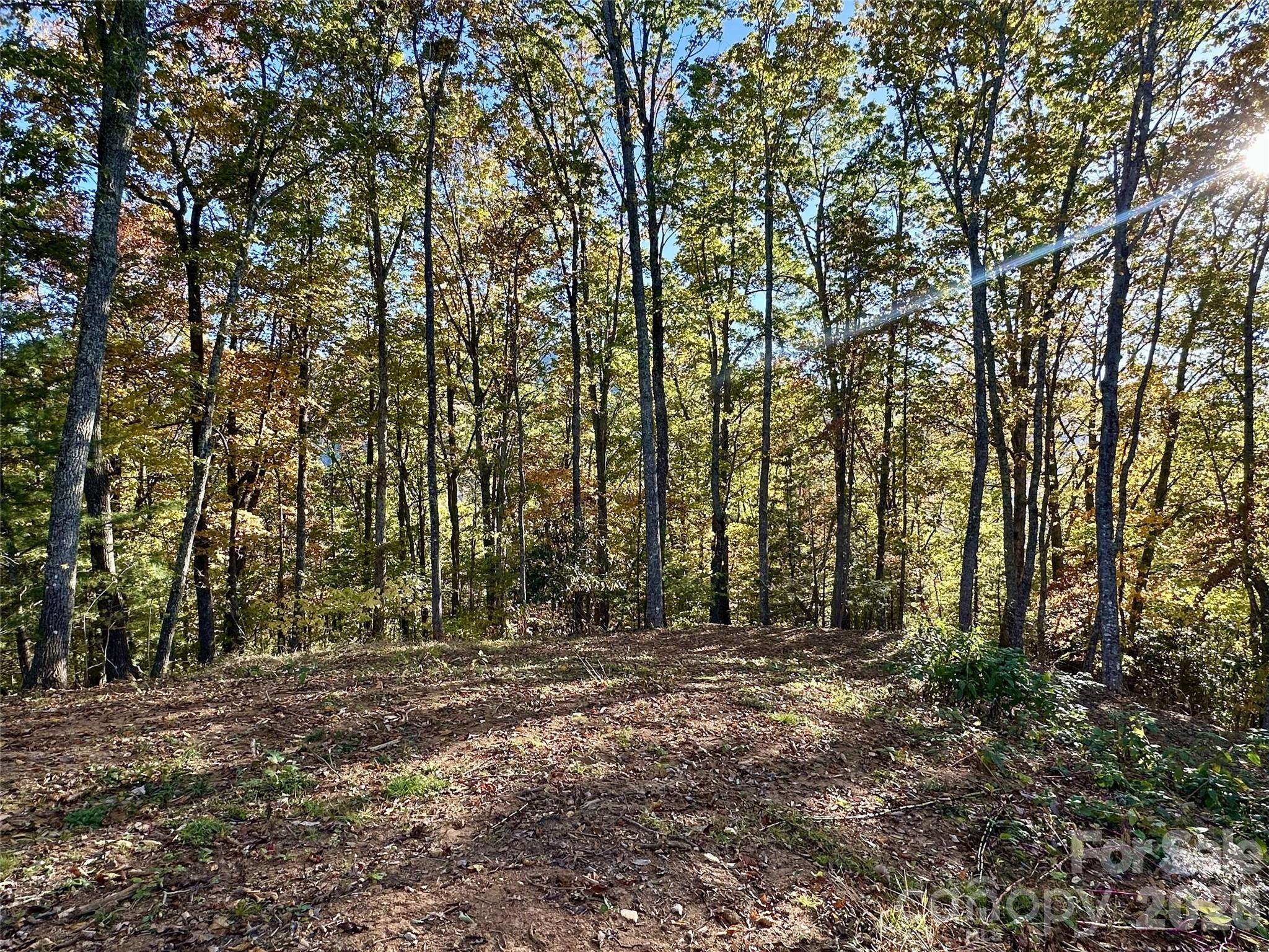 534 Cicada DR, Maggie Valley, NC 28751