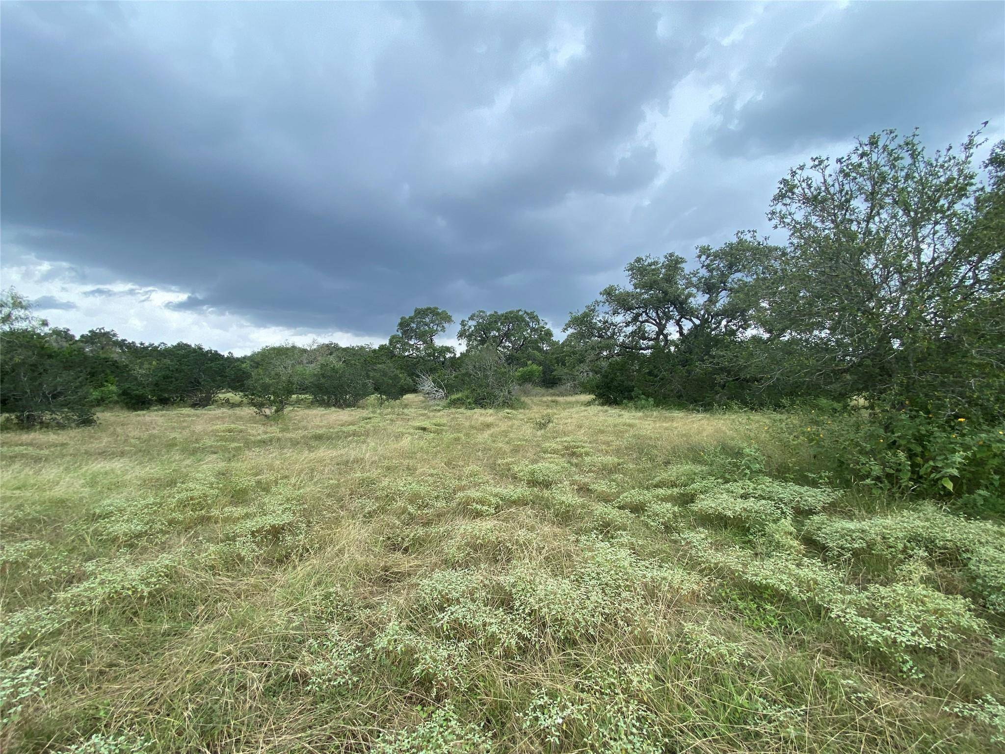 3275 Hilliard RD #D, San Marcos, TX 78666