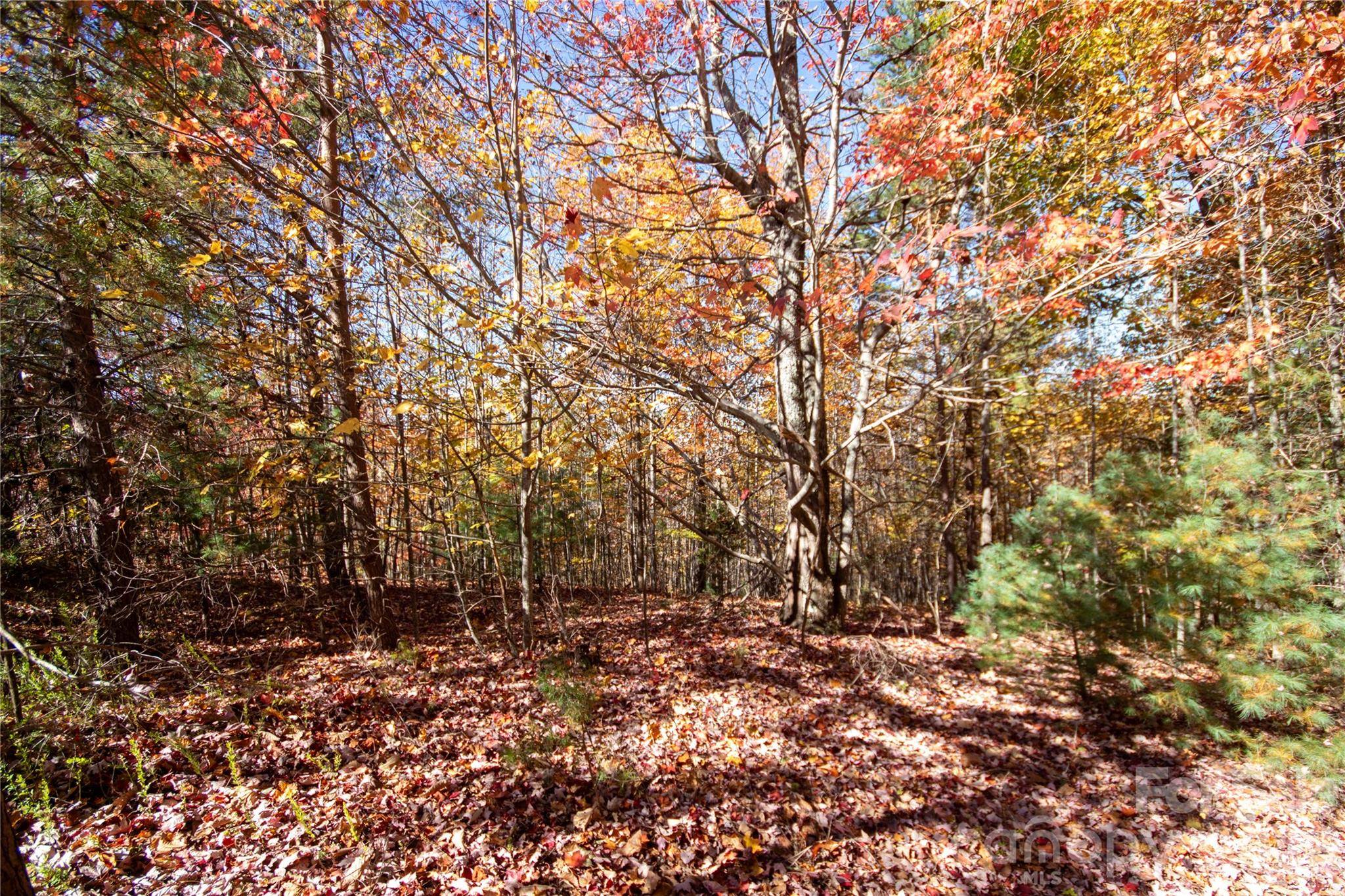 Lot# 4 Peregrine TER #4, Lenoir, NC 28645