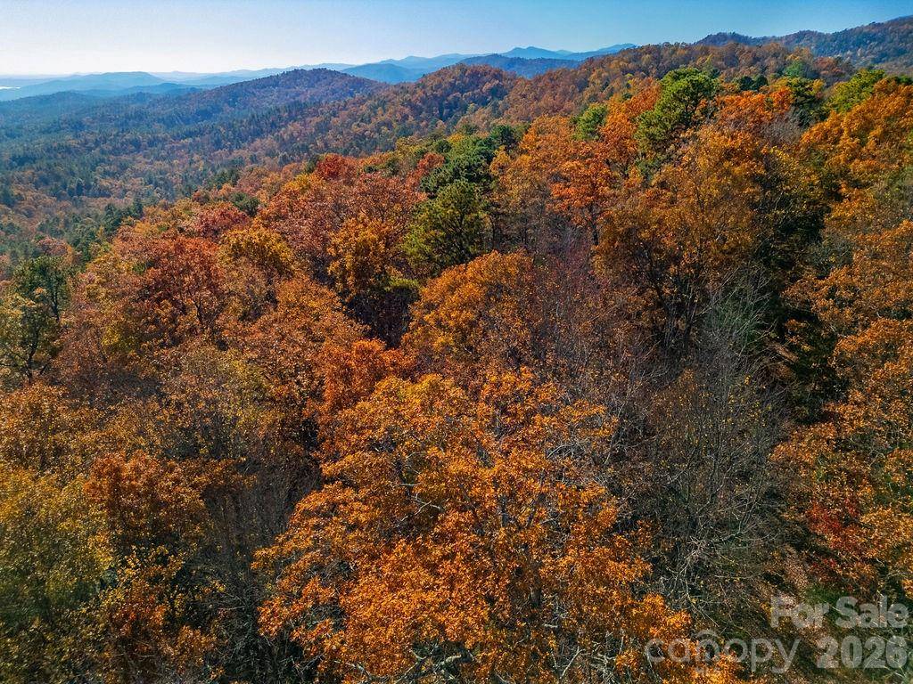 TBD Old Toxaway RD, Brevard, NC 28712