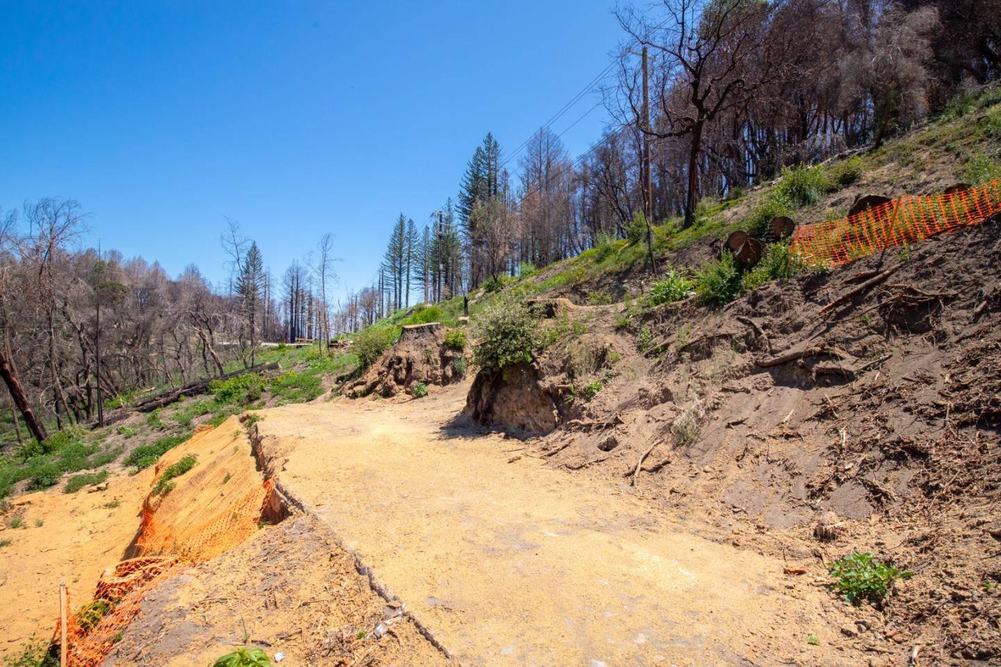 Santa Cruz, CA 95060,10909 Empire Grade