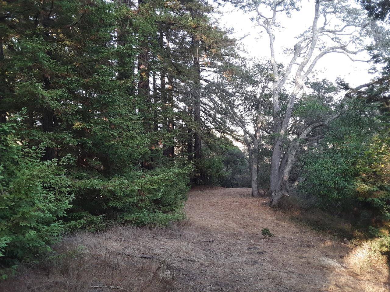 Soquel, CA 95073,0 Ponza LN