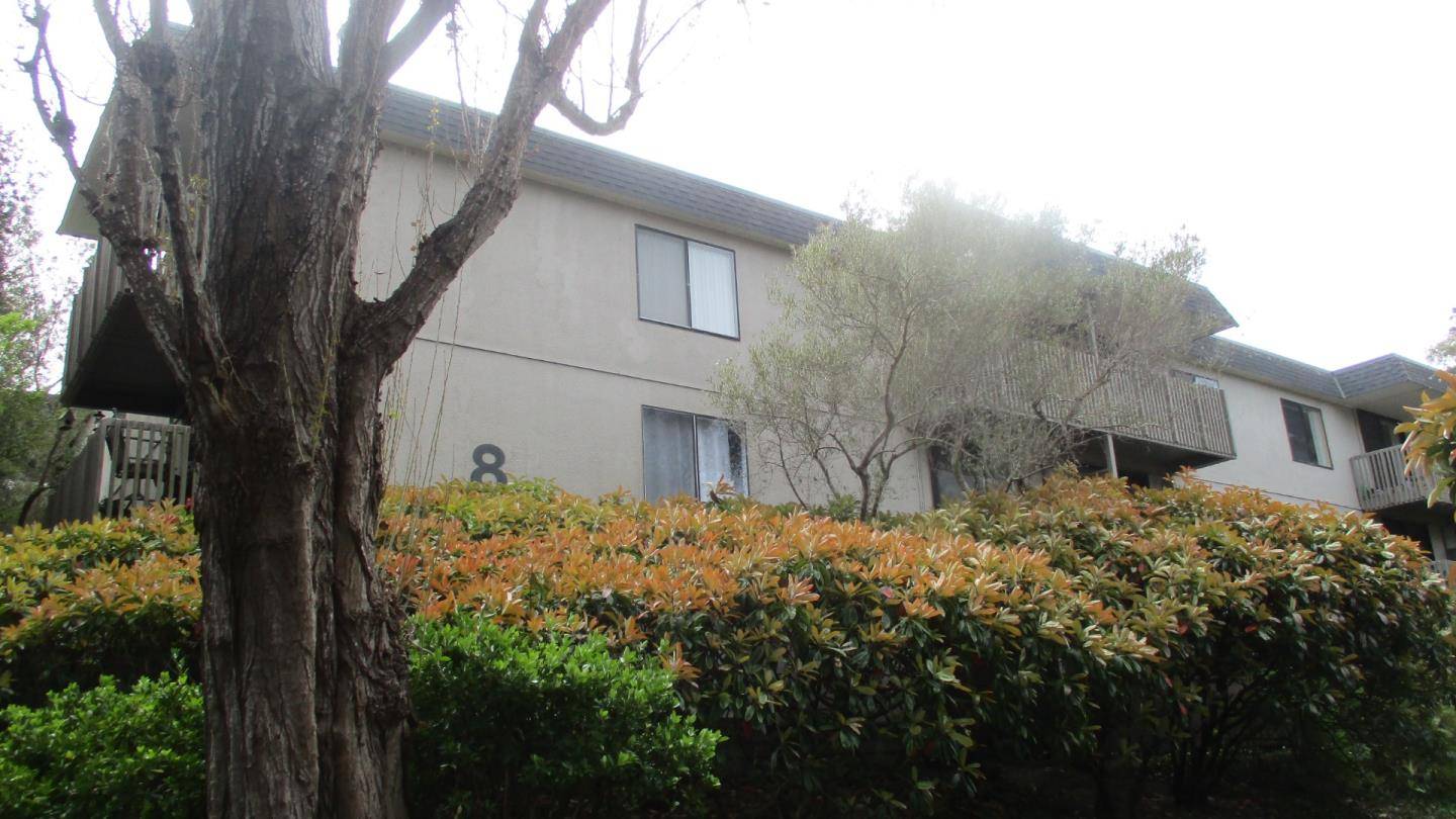 San Bruno, CA 94066,8223 Shelter Creek LN