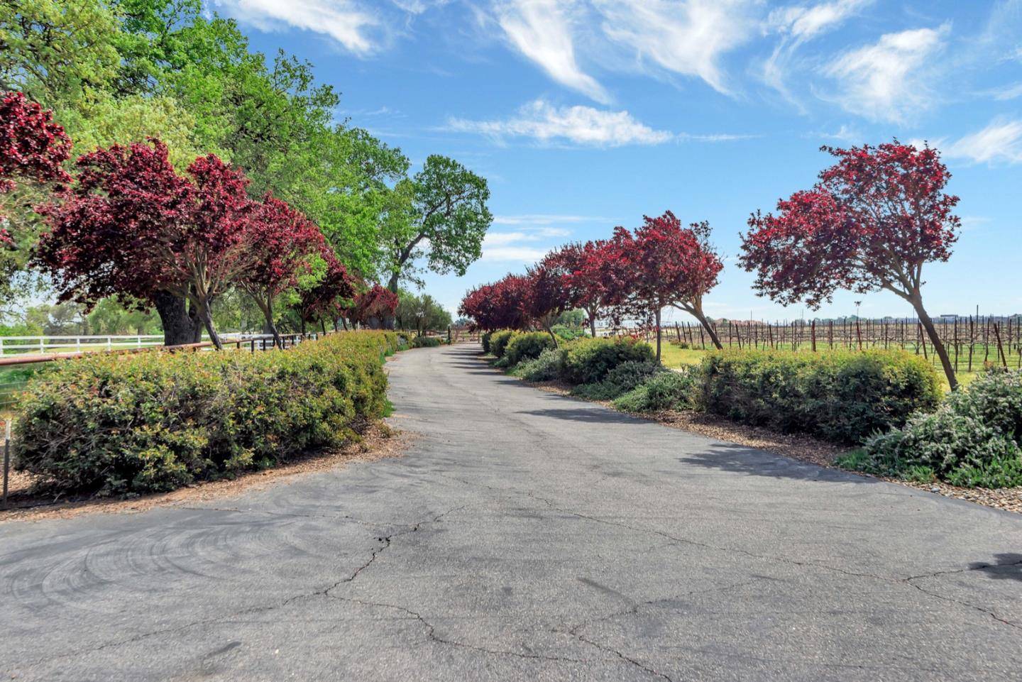 San Miguel, CA 93451,5995 Martingale CIR