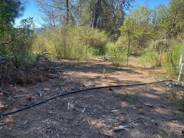 Los Gatos, CA 95033,0 Loma Chiquita RD