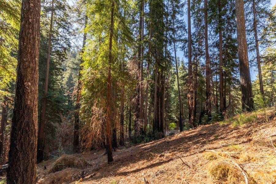 Boulder Creek, CA 95006,0 KINGS HWY