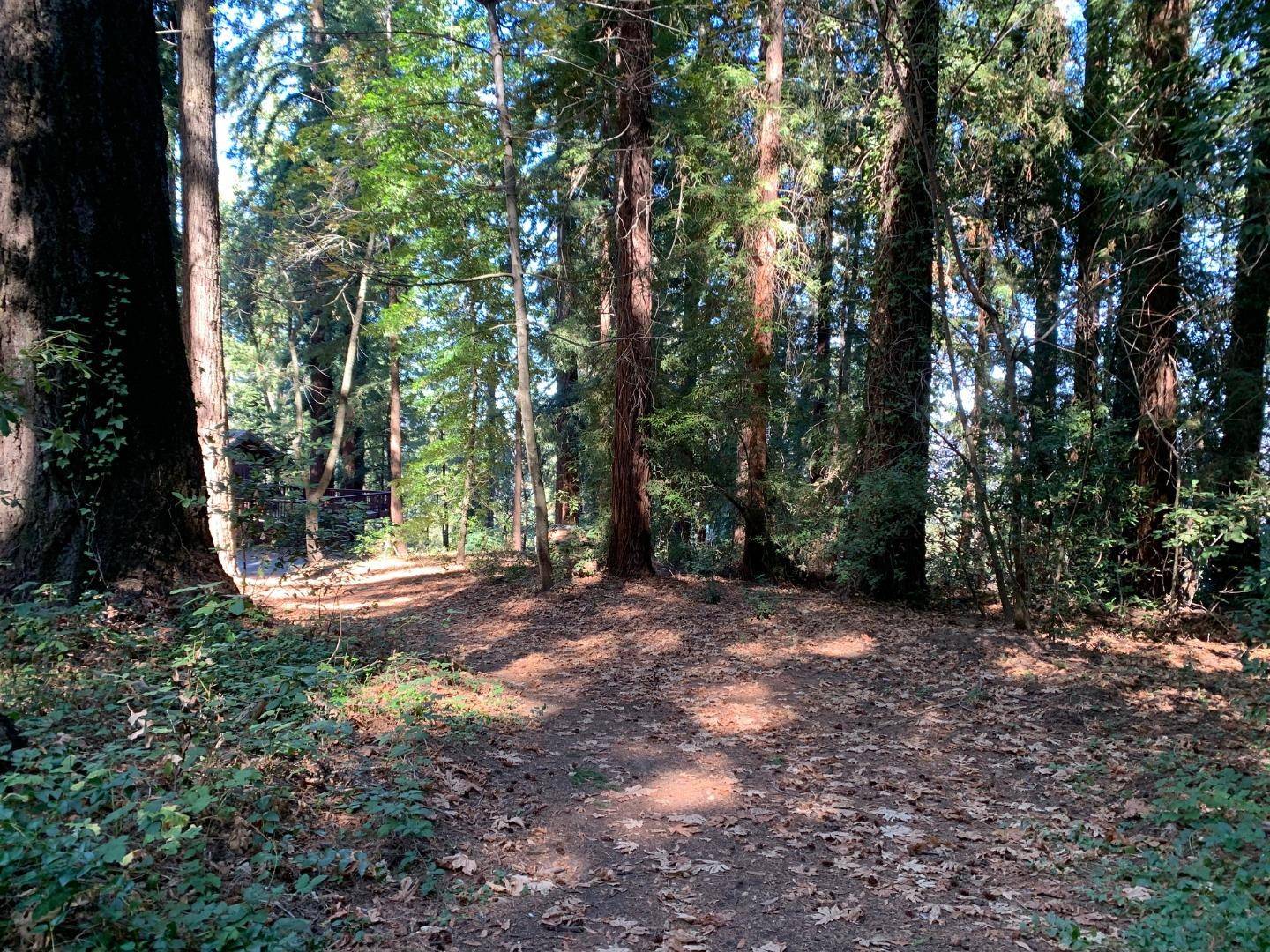 Los Gatos, CA 95033,00 Santa Ana RD